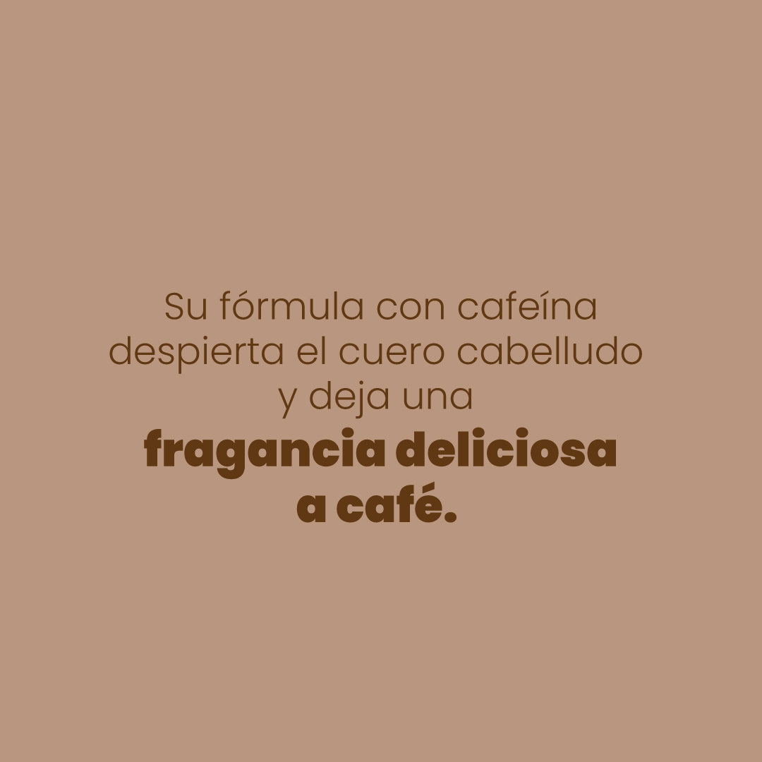 SHAMPOO CON CAFÉ ANYELUZ
