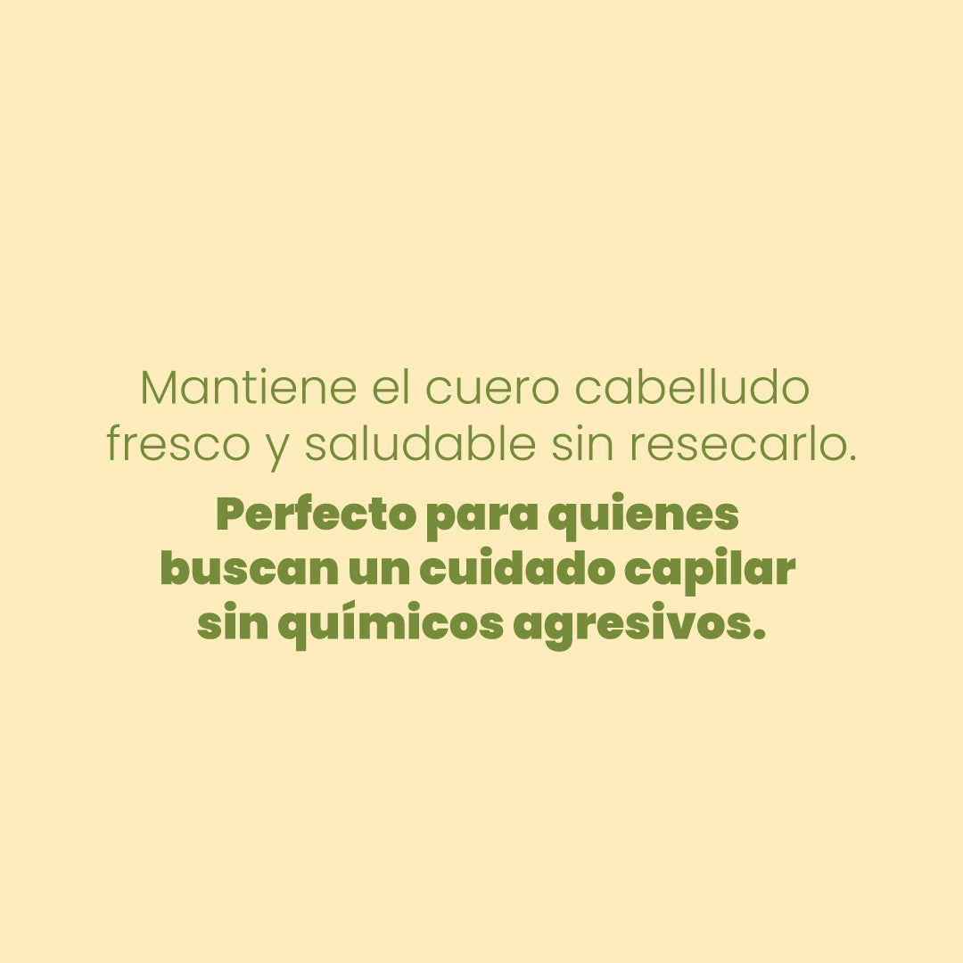 SHAMPOO CON MANZANILLA ANYELUZ