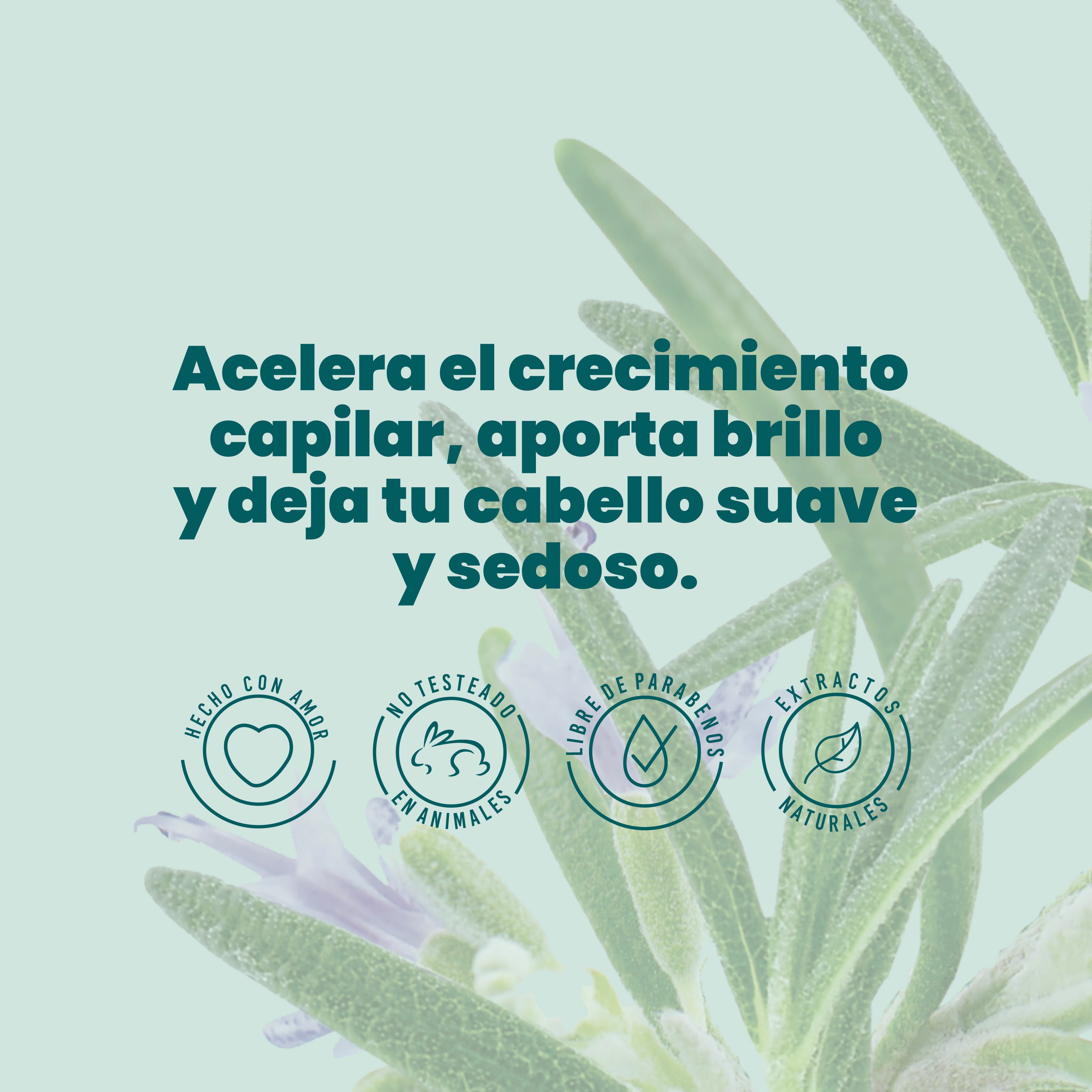 SHAMPOO CON ROMERO ANYELUZ 500ML