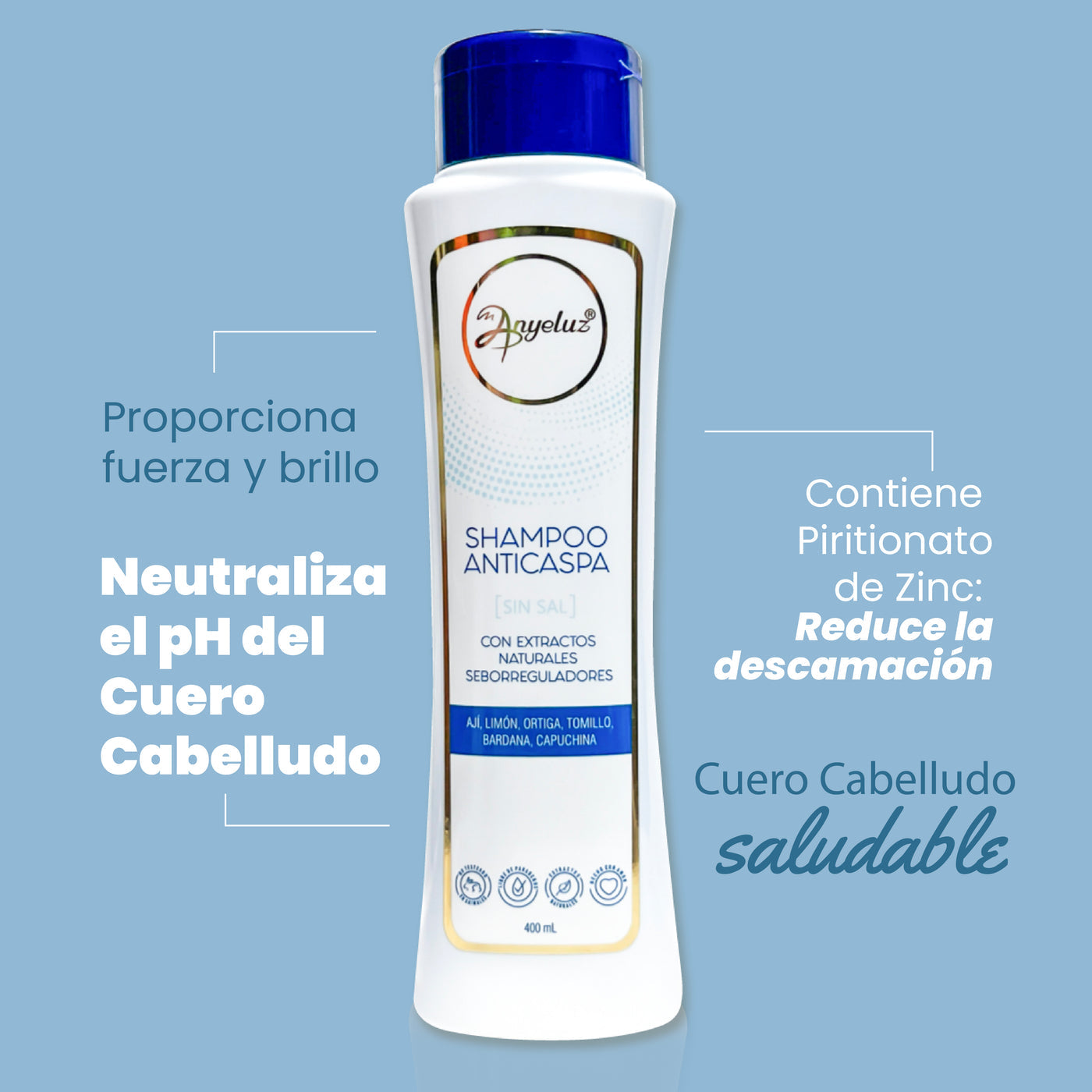 SHAMPOO ANTICASPA ANYELUZ