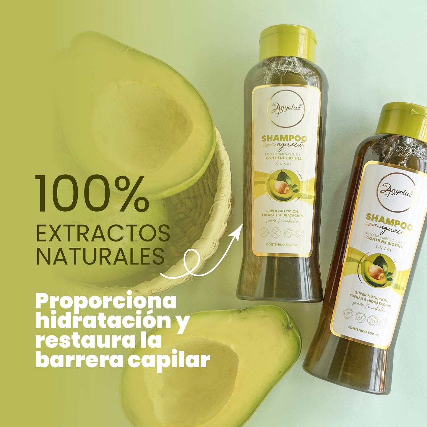 SHAMPOO CON AGUACATE ANYELUZ 500ML